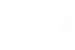 Tendring District Council logo, showcasing a key local government partner of DC Transport and Engineering.